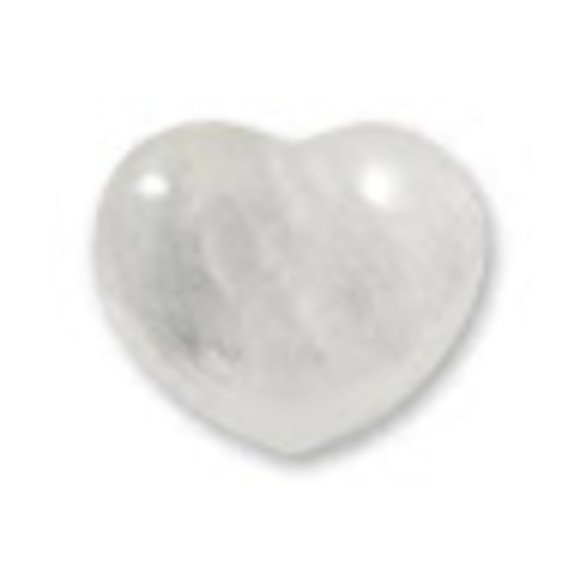 Meet your Posher, Naja - Picture 1 of 1